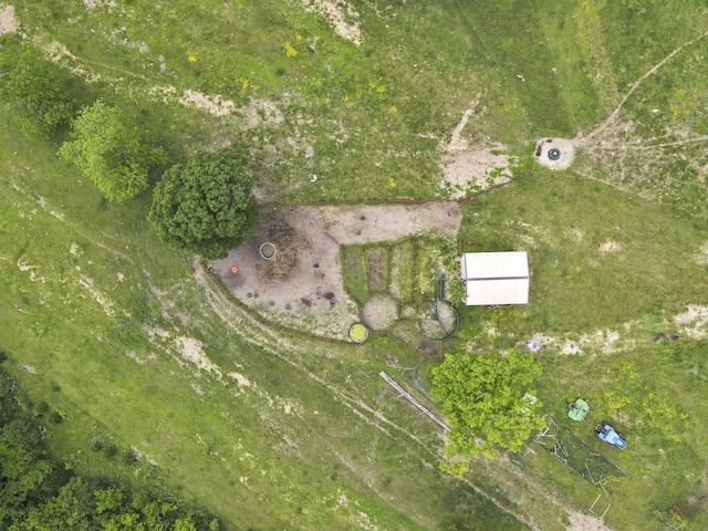 1065 Nicks Rd, Bradleyville, MO 65614 - aerial overview of property's location