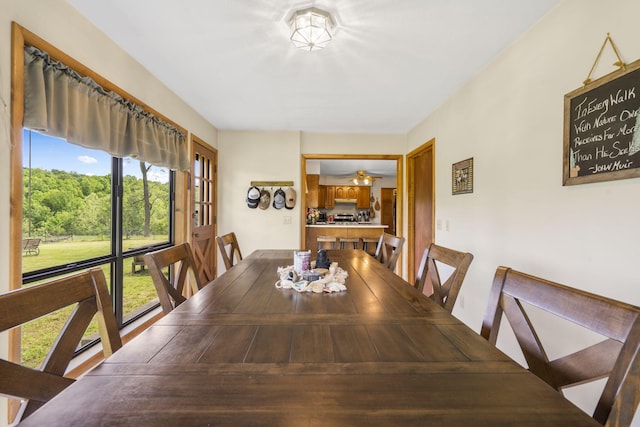 1065 Nicks Rd, Bradleyville, MO 65614 - view of dining area