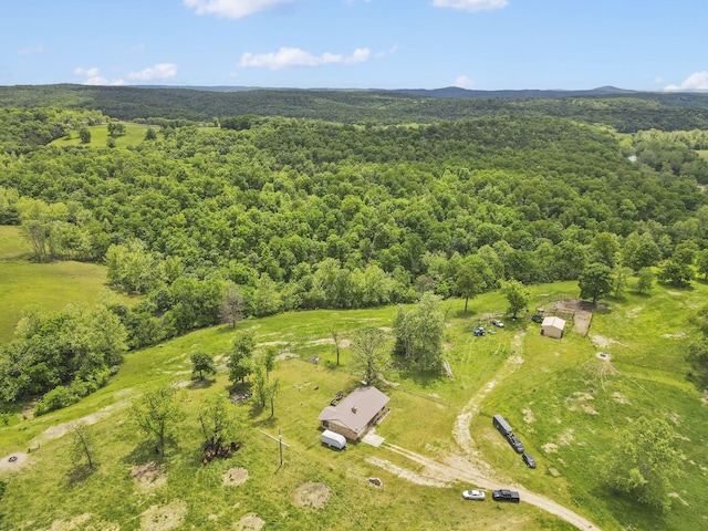 1065 Nicks Rd, Bradleyville, MO 65614 - drone / aerial view of a forest