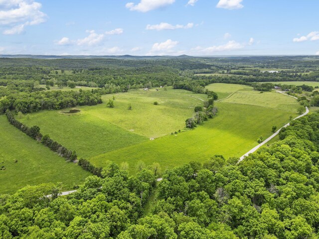 1065 Nicks Rd, Bradleyville, MO 65614 - bird's eye view of a forest