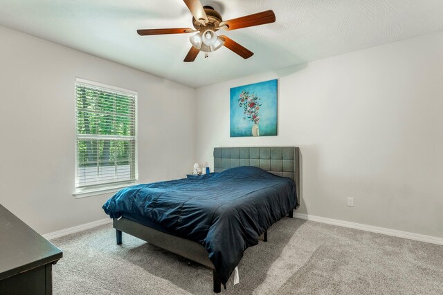 5628 S Winsor Dr, Battlefield, MO 65619 - photo 27