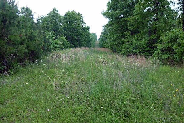 643 County Road 3450, Mountain View, MO 65548 - view of local wilderness