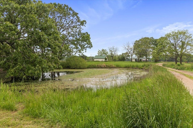 6203 County Road 1750, West Plains, MO 65775 - view of yard