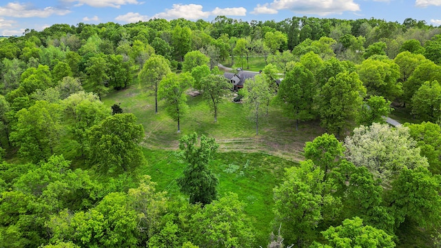 315 Buckskin Rdg, Pineville, MO 64856 - view from above of property featuring a forest