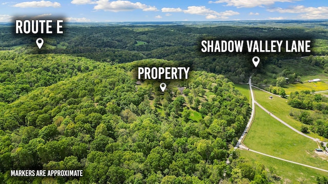315 Buckskin Rdg, Pineville, MO 64856 - drone / aerial view of a forest