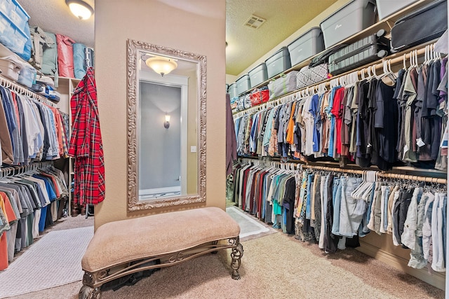 315 Buckskin Rdg, Pineville, MO 64856 - spacious closet featuring carpet
