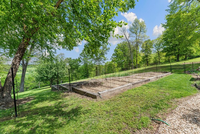 315 Buckskin Rdg, Pineville, MO 64856 - view of yard featuring a game area