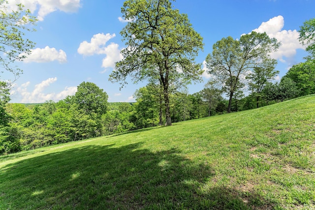315 Buckskin Rdg, Pineville, MO 64856 - view of green lawn featuring a wooded view
