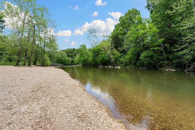 315 Buckskin Rdg, Pineville, MO 64856 - water view featuring a heavily wooded area