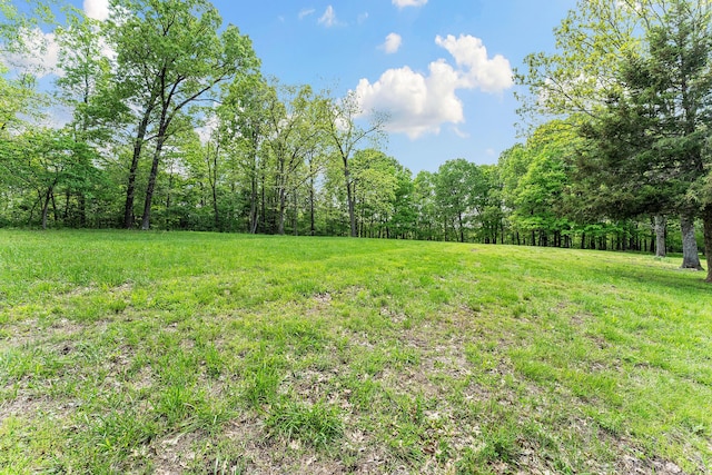 315 Buckskin Rdg, Pineville, MO 64856 - view of yard featuring a wooded view