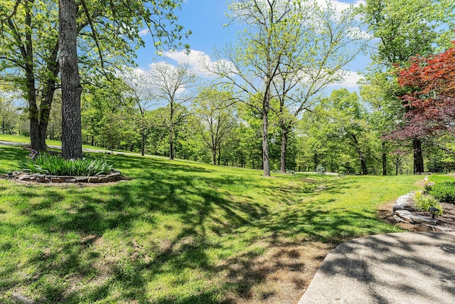 315 Buckskin Rdg, Pineville, MO 64856 - view of grassy yard