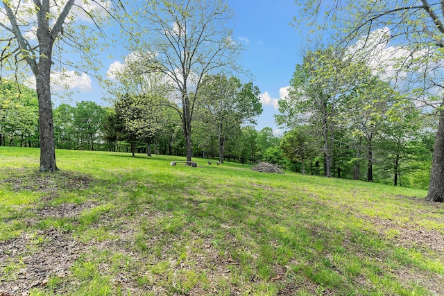 315 Buckskin Rdg, Pineville, MO 64856 - view of yard