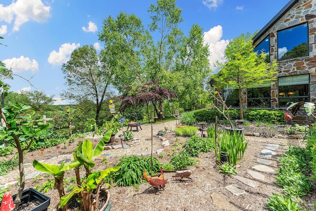 315 Buckskin Rdg, Pineville, MO 64856 - view of yard with a garden