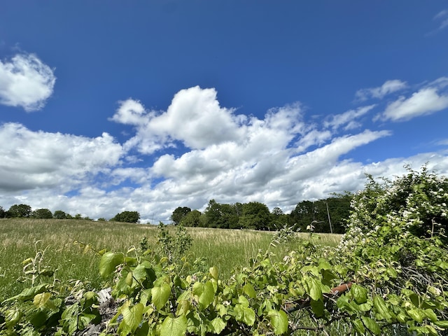 view of undeveloped land with rural landscape