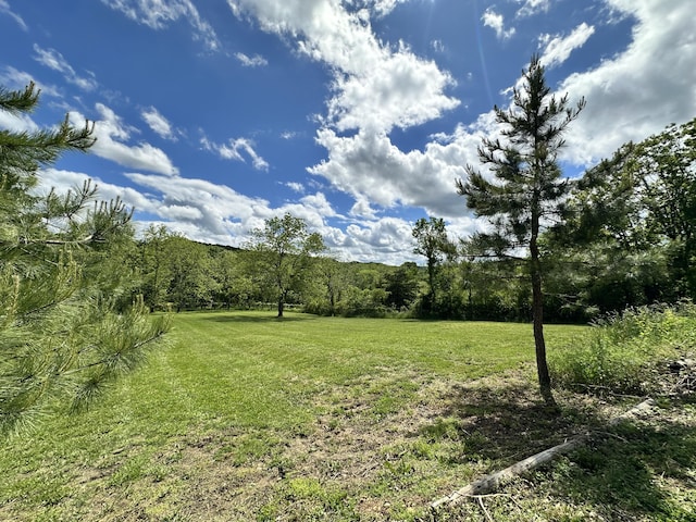 view of grassy yard featuring a wooded view