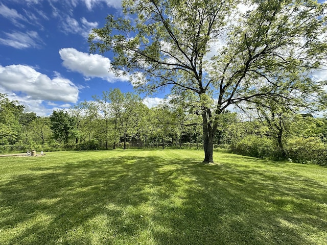 view of grassy yard with a view of trees