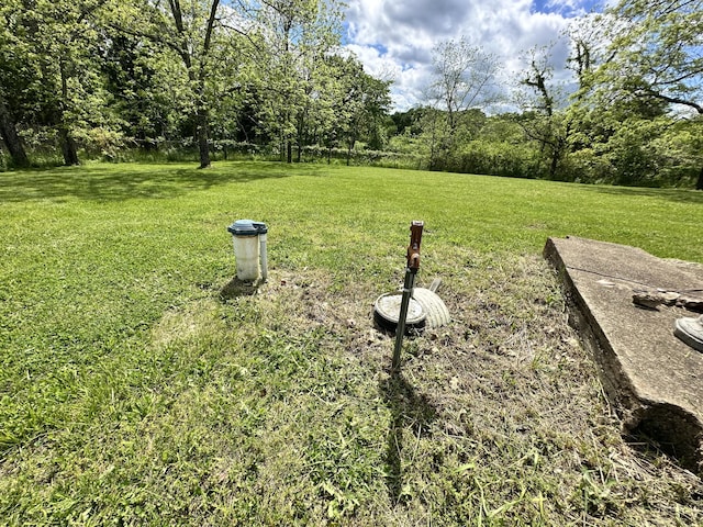 view of green lawn