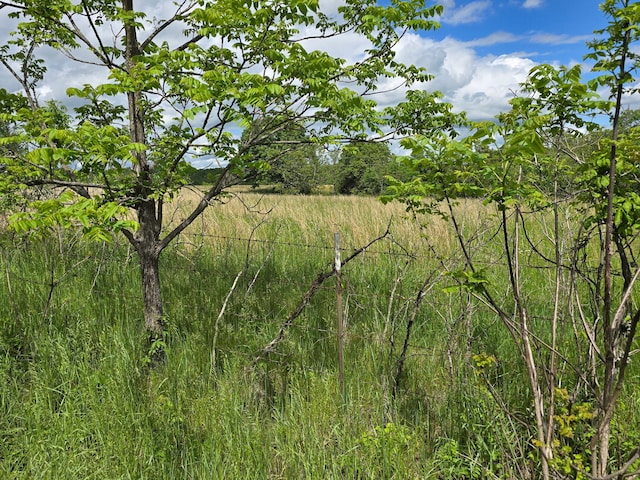 view of undeveloped land