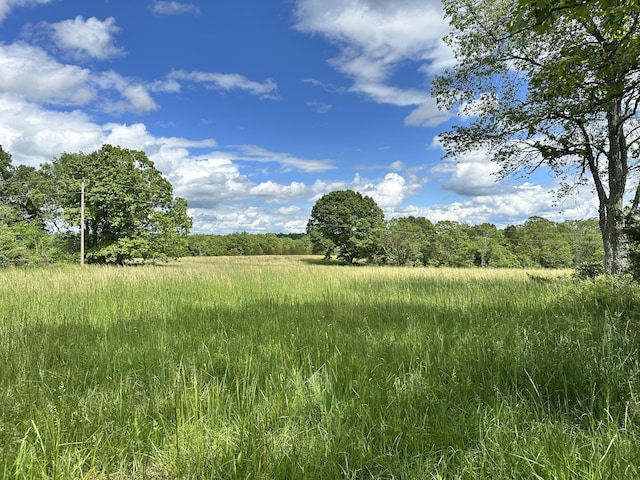 view of nature