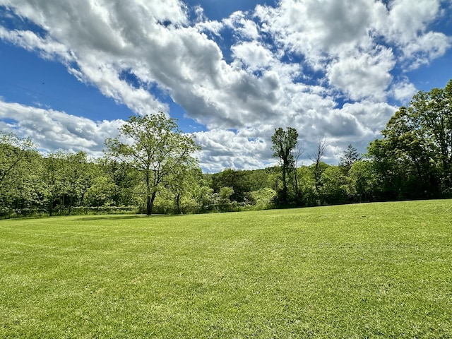 view of green lawn featuring a wooded view