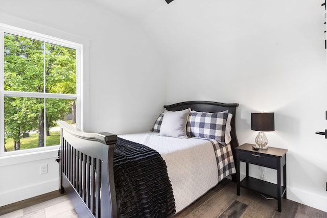 452 Rest Haven Ln, Blue Eye, MO 65611 - bedroom featuring multiple windows, wood finished floors, and baseboards
