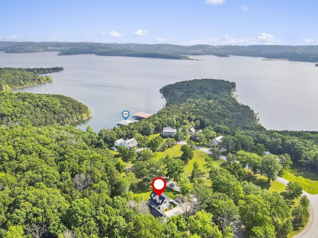452 Rest Haven Ln, Blue Eye, MO 65611 - drone / aerial view of a large body of water and a forest