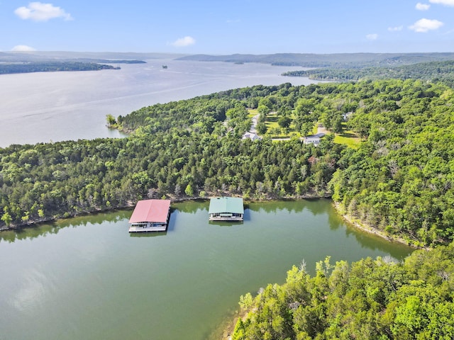 452 Rest Haven Ln, Blue Eye, MO 65611 - drone / aerial view of a forest and a nearby body of water