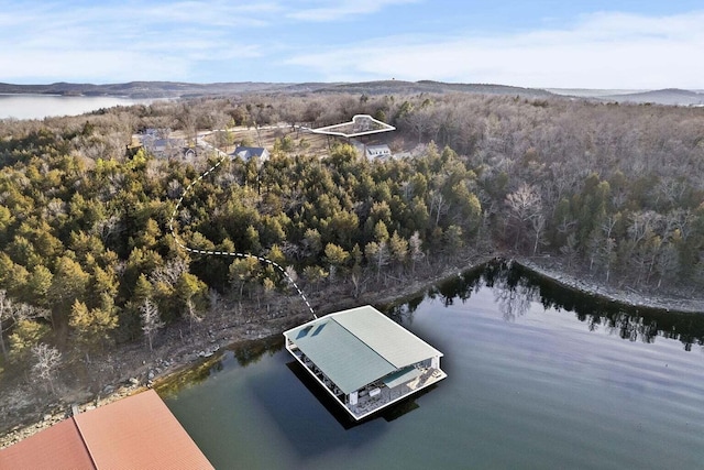 452 Rest Haven Ln, Blue Eye, MO 65611 - drone / aerial view of a heavily wooded area and a large body of water