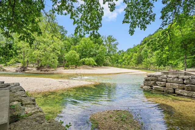 103 Dogwood Ct, Saddlebrooke, MO 65630 - water view with a fire pit and a forest