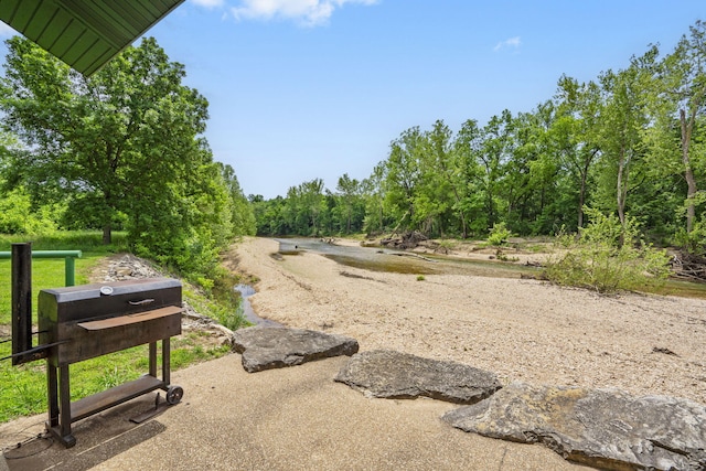 103 Dogwood Ct, Saddlebrooke, MO 65630 - view of road