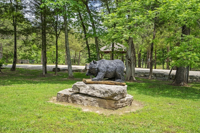 103 Dogwood Ct, Saddlebrooke, MO 65630 - view of green lawn