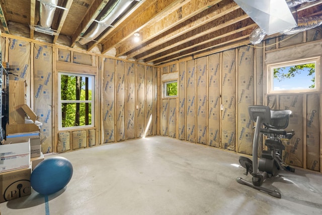 103 Dogwood Ct, Saddlebrooke, MO 65630 - below grade area featuring healthy amount of natural light