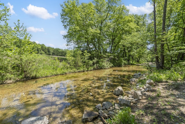 103 Dogwood Ct, Saddlebrooke, MO 65630 - view of yard featuring a view of trees