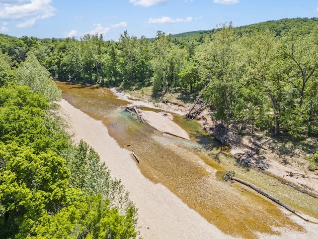 103 Dogwood Ct, Saddlebrooke, MO 65630 - aerial view of a forest