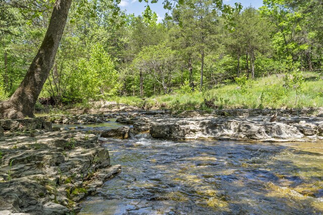 103 Dogwood Ct, Saddlebrooke, MO 65630 - water view with a heavily wooded area
