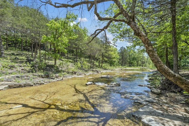 103 Dogwood Ct, Saddlebrooke, MO 65630 - view of yard featuring a forest view