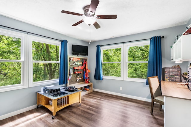 3662 N Farm Rd Unit 127, Springfield, MO 65803 - office space featuring baseboards, a ceiling fan, and wood finished floors