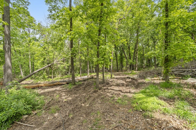 3662 N Farm Rd Unit 127, Springfield, MO 65803 - view of wooded area