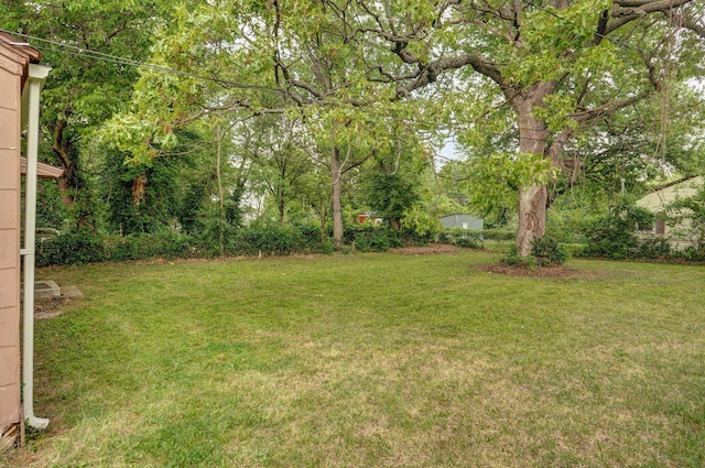 2708 N Fremont Ave, Springfield, MO 65803 - view of grassy yard
