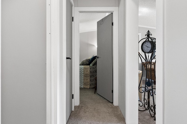 hallway with carpet flooring and a textured ceiling