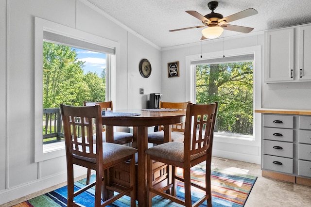 dining room featuring ornamental molding, a textured ceiling, healthy amount of natural light, and ceiling fan
