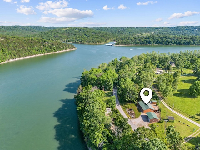 229 Grand Slam Ave, Cape Fair, MO 65624 - view of property location with a heavily wooded area and a large body of water