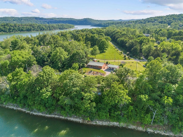 229 Grand Slam Ave, Cape Fair, MO 65624 - aerial view of property's location with a nearby body of water and a heavily wooded area