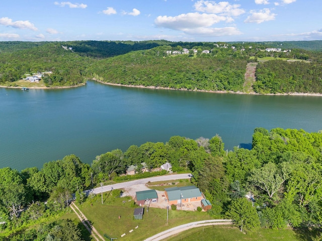 229 Grand Slam Ave, Cape Fair, MO 65624 - aerial view of property's location with a heavily wooded area and a nearby body of water
