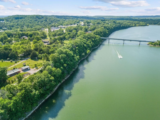 229 Grand Slam Ave, Cape Fair, MO 65624 - drone / aerial view of a nearby body of water and a forest