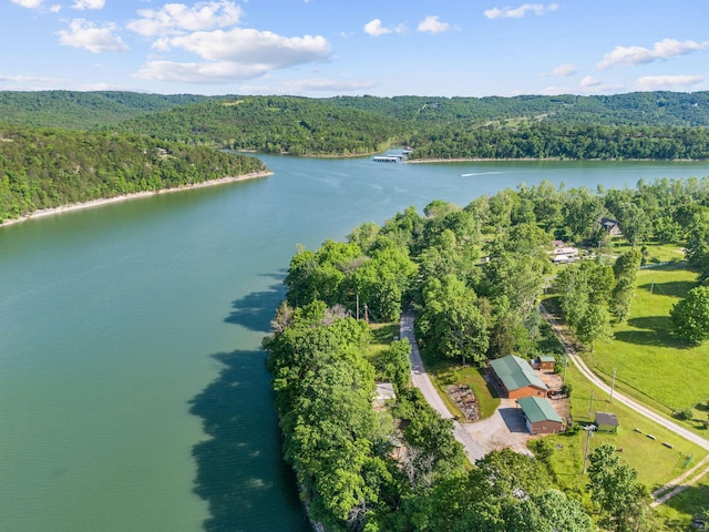 229 Grand Slam Ave, Cape Fair, MO 65624 - aerial overview of property's location featuring a forest and a large body of water