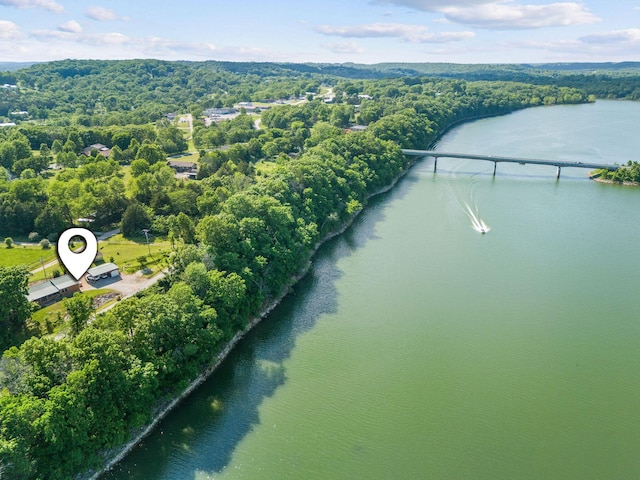 229 Grand Slam Ave, Cape Fair, MO 65624 - drone / aerial view of a nearby body of water and a heavily wooded area
