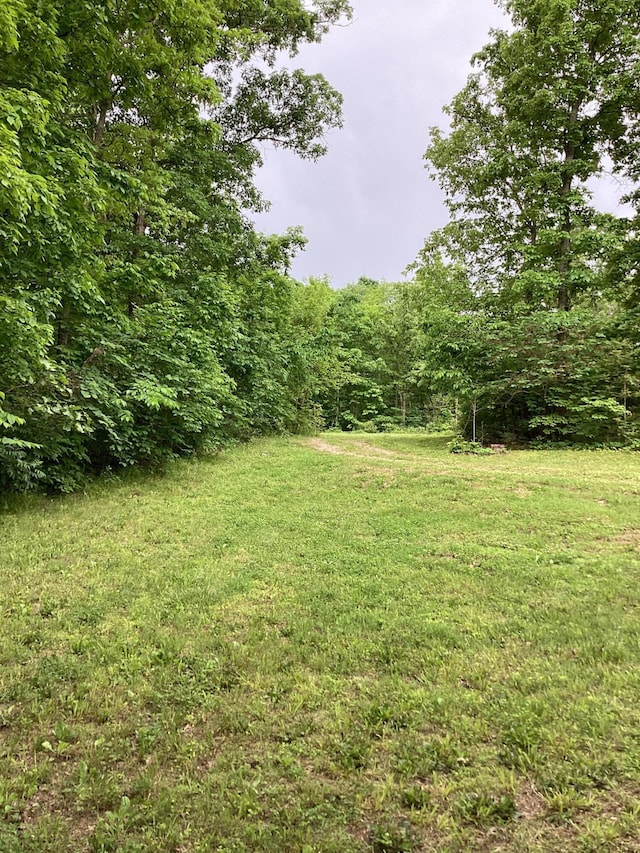 951 County Road 206, Alton, MO 65606 - photo 49