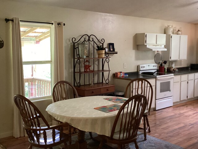 951 County Road 206, Alton, MO 65606 - photo 21