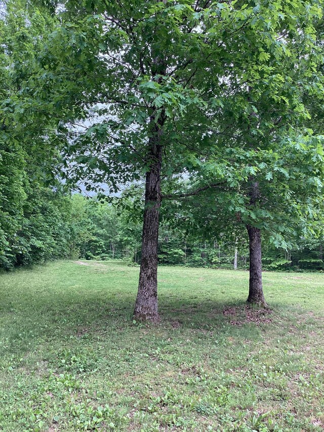 951 County Road 206, Alton, MO 65606 - photo 52